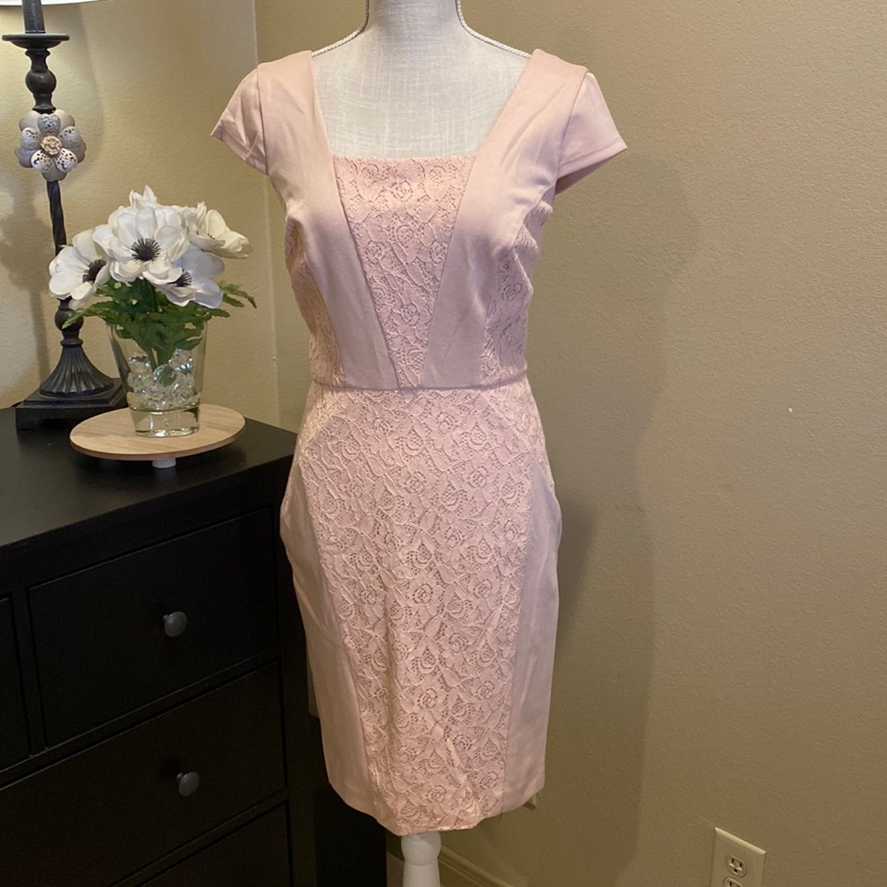 The Limited Pink Lace Dress